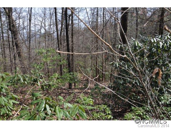 16 Ridgecrest Drive, Unit 16 Lake Lure, NC 28746 - Photo 17 of 24 a view of a backyard