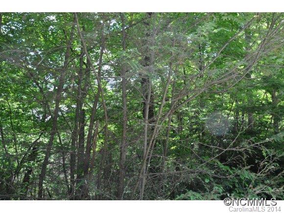 16 Ridgecrest Drive, Unit 16 Lake Lure, NC 28746 - Photo 3 of 24 a view of a lush green forest