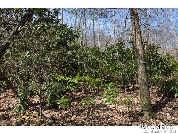 16 Ridgecrest Drive, Unit 16 Lake Lure, NC 28746 - Photo 21 of 24 a view of a plants in backyard of a house