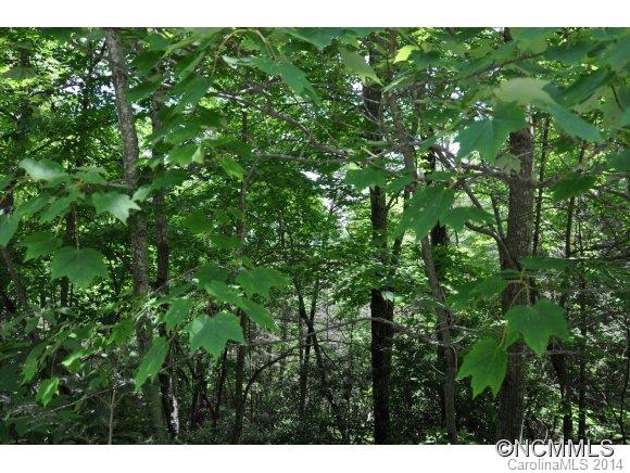 16 Ridgecrest Drive, Unit 16 Lake Lure, NC 28746 - Photo 4 of 24 a view of a lush green forest