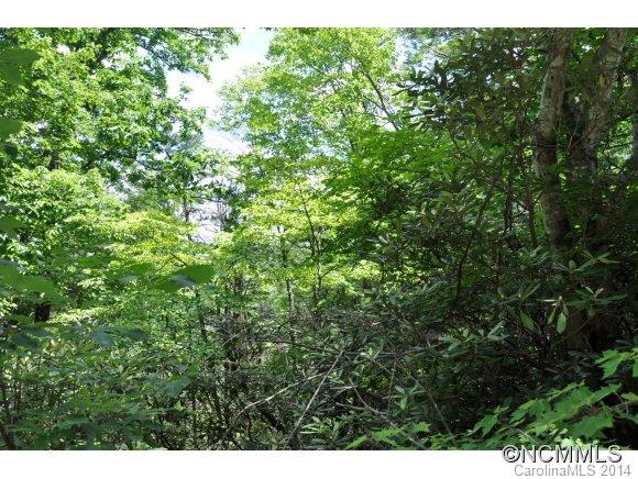 16 Ridgecrest Drive, Unit 16 Lake Lure, NC 28746 - Photo 5 of 24 a view of a lush green forest