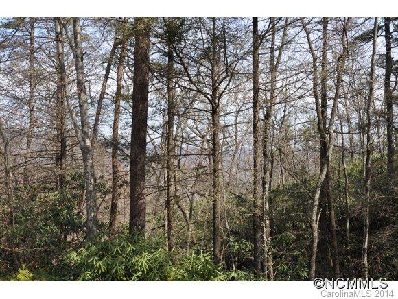 16 Ridgecrest Drive, Unit 16 Lake Lure, NC 28746 - Photo 6 of 24 a view of city and trees