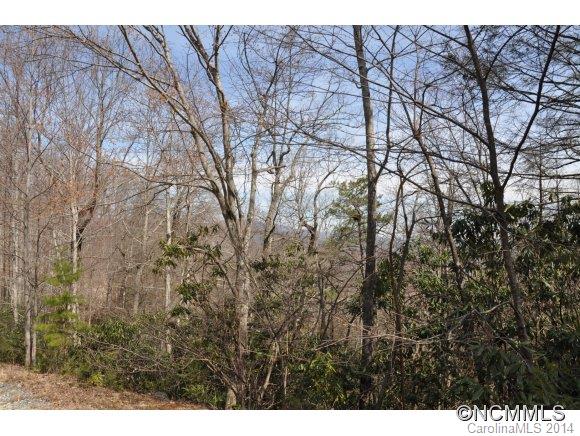 16 Ridgecrest Drive, Unit 16 Lake Lure, NC 28746 - Photo 7 of 24 a view of forest