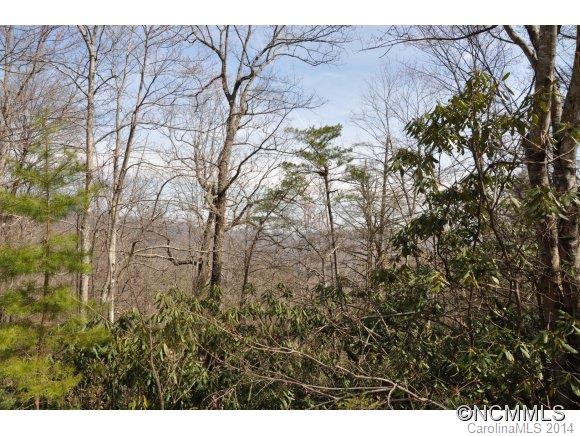 16 Ridgecrest Drive, Unit 16 Lake Lure, NC 28746 - Photo 8 of 24 a view of a backyard of the house