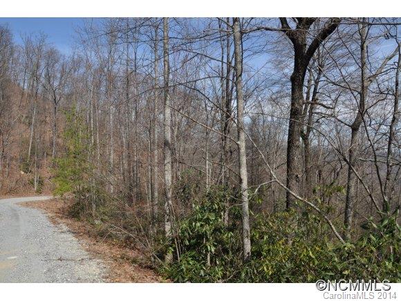 16 Ridgecrest Drive, Unit 16 Lake Lure, NC 28746 - Photo 9 of 24 a view of a backyard