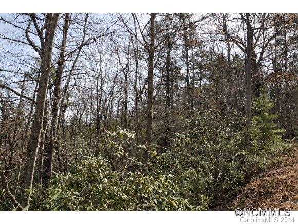 16 Ridgecrest Drive, Unit 16 Lake Lure, NC 28746 - Photo 10 of 24 a view of forest