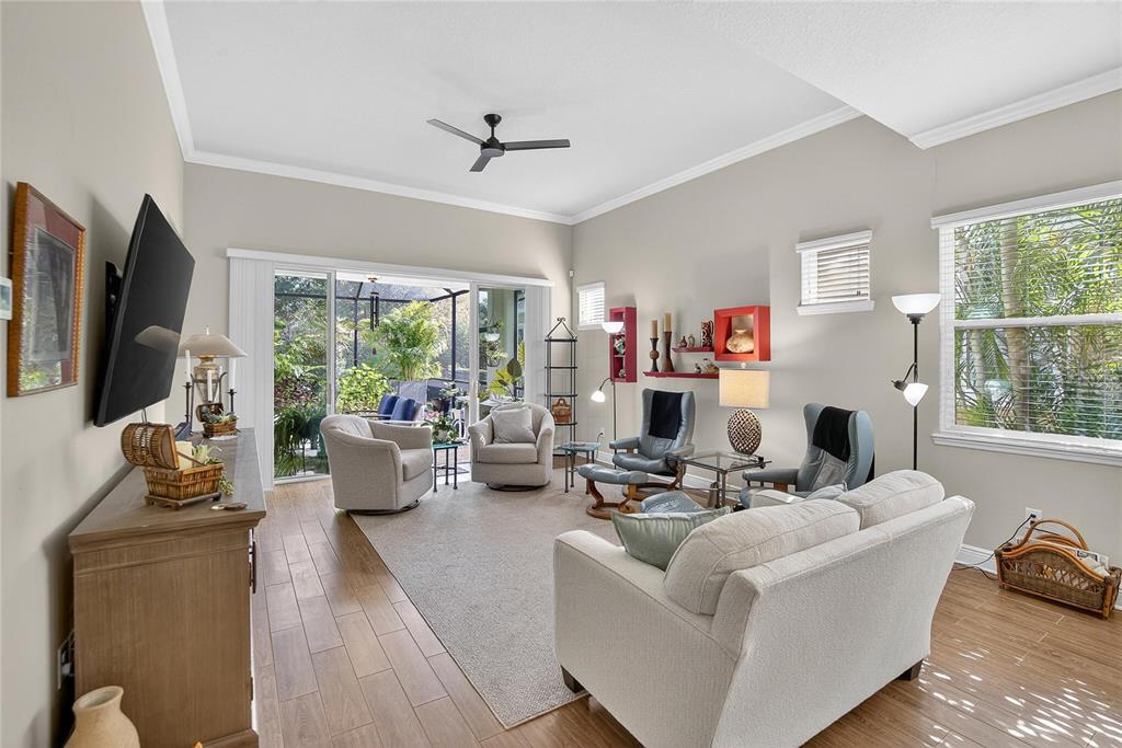 6020 Plover Meadow Street Lithia, FL 33547 - Photo 16 of 41 a living room with fireplace furniture and a flat screen tv