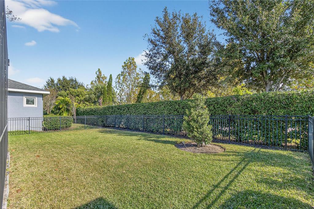6020 Plover Meadow Street Lithia, FL 33547 - Photo 28 of 41 a view of a backyard