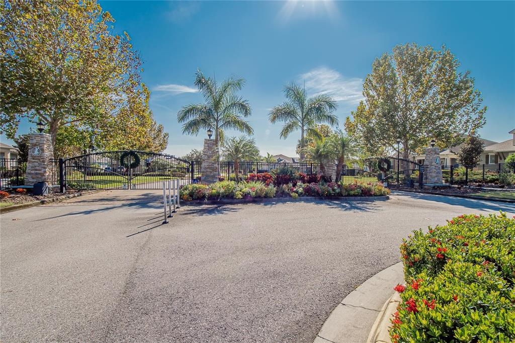 6020 Plover Meadow Street Lithia, FL 33547 - Photo 32 of 41 a street view with parked cars and trees