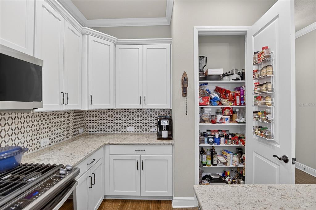 6020 Plover Meadow Street Lithia, FL 33547 - Photo 6 of 41 a kitchen with white cabinets and appliances