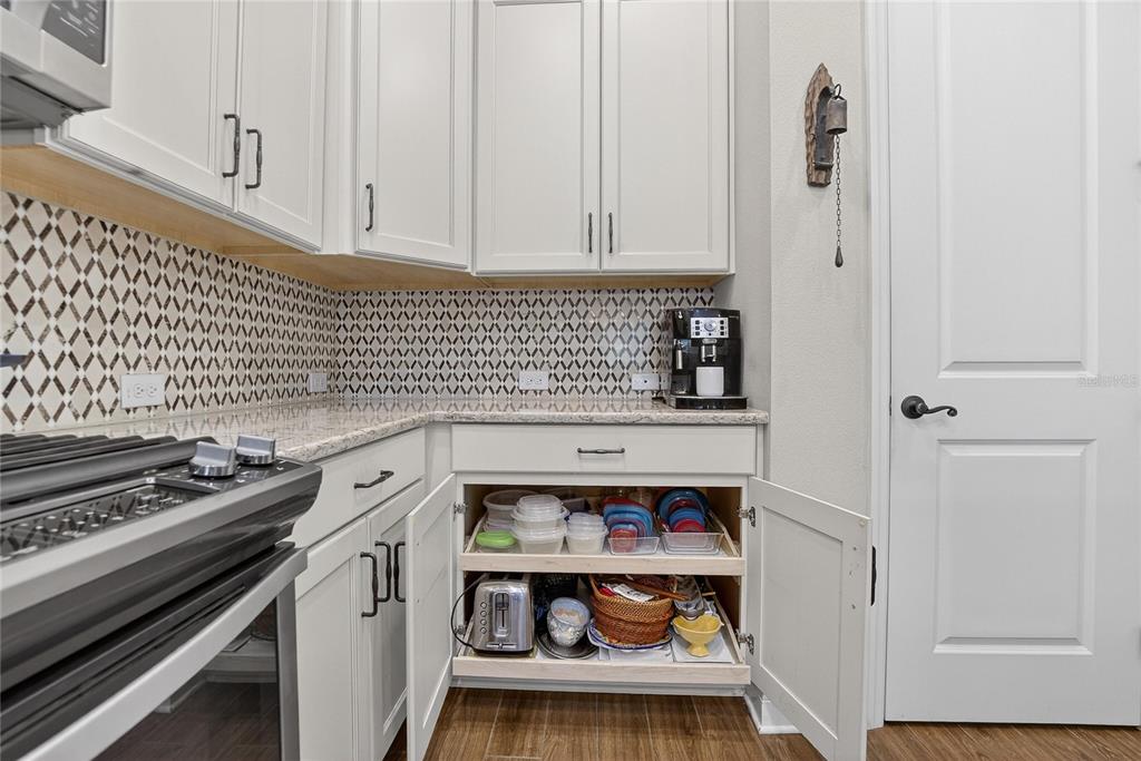 6020 Plover Meadow Street Lithia, FL 33547 - Photo 8 of 41 a kitchen with cabinets and appliances