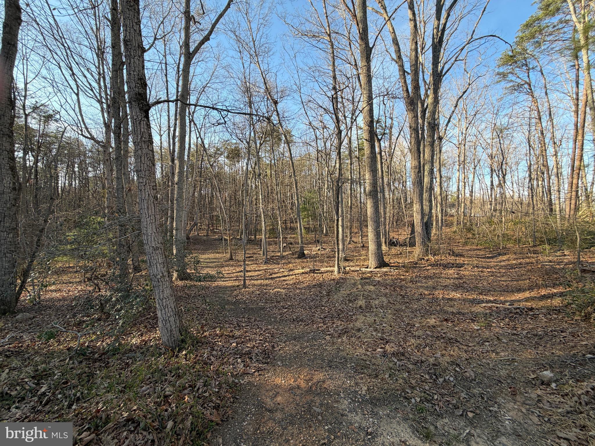 Woodland Church Road Culpeper, VA 22701 - Photo 3 of 3