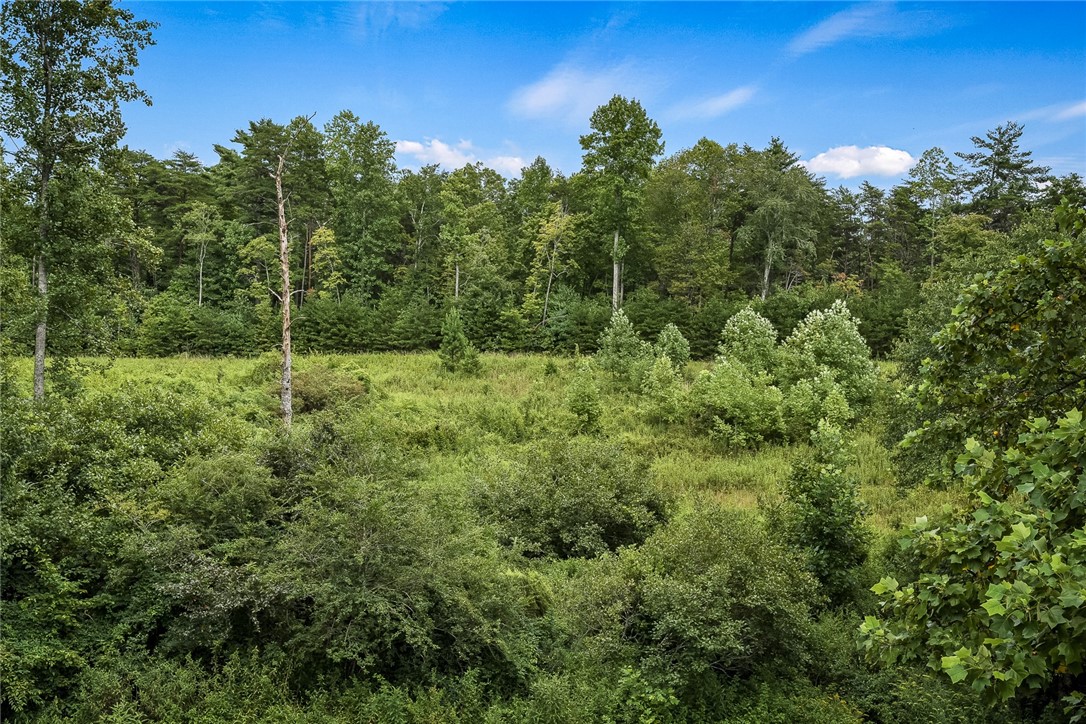 165 Cassidy Bridge Road Mountain Rest, SC 29664 - Photo 42 of 48