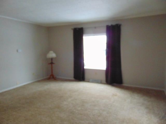511 North Ithaca Street Ithaca, MI 48847 - Photo 21 of 47 1896259-20.JPG