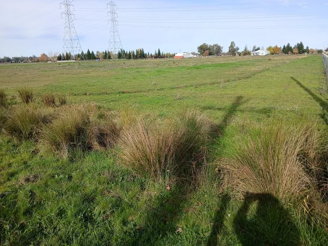 a view of a lake with a big yard