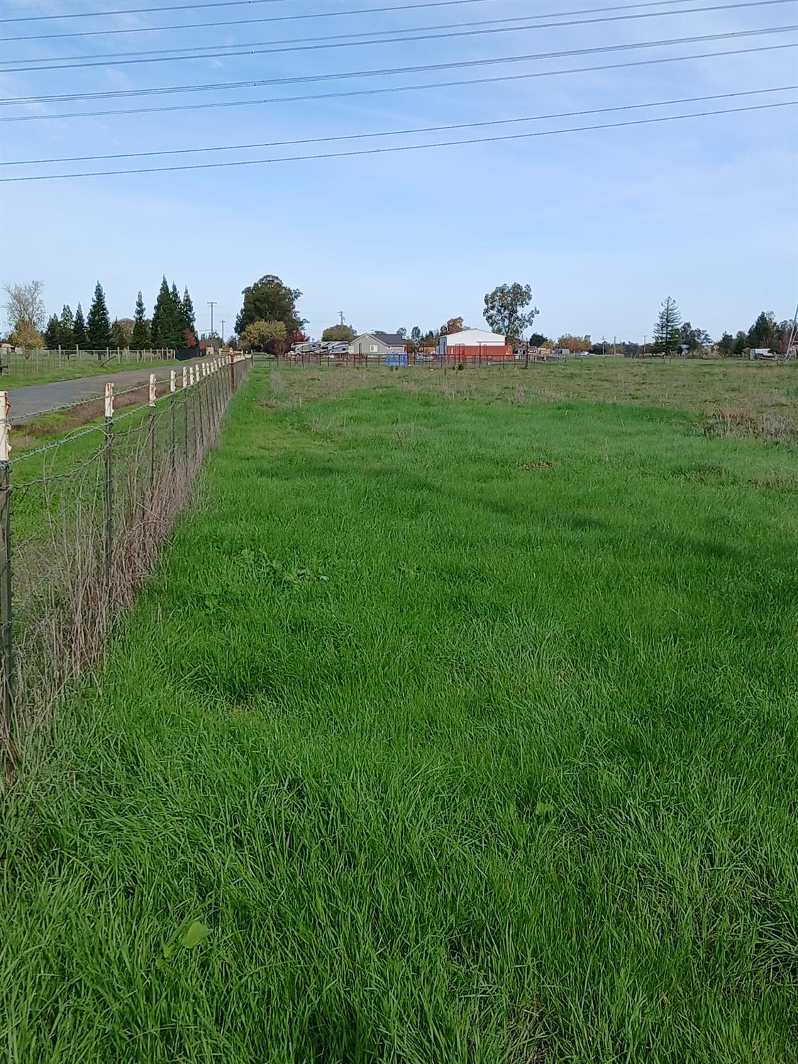 12291 Hobday Road Wilton, CA 95693 - Photo 9 of 14 a yard with lots of green space and trees in the background