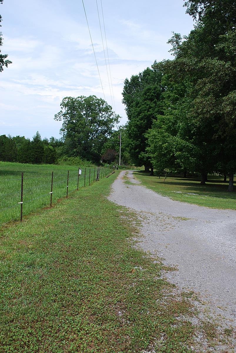 178 Taylor Road Rockvale, TN 37153 - Photo 15 of 25 a view of a park