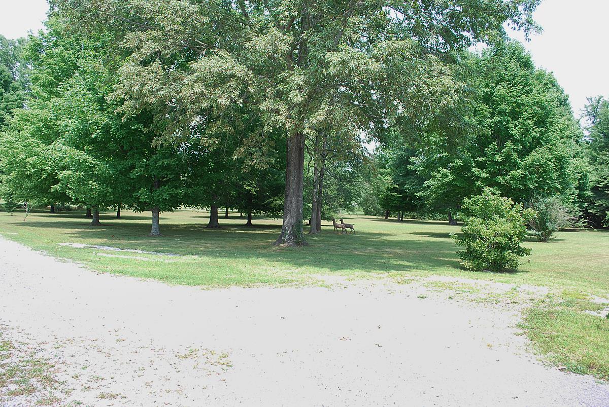 178 Taylor Road Rockvale, TN 37153 - Photo 16 of 25 a view of a park