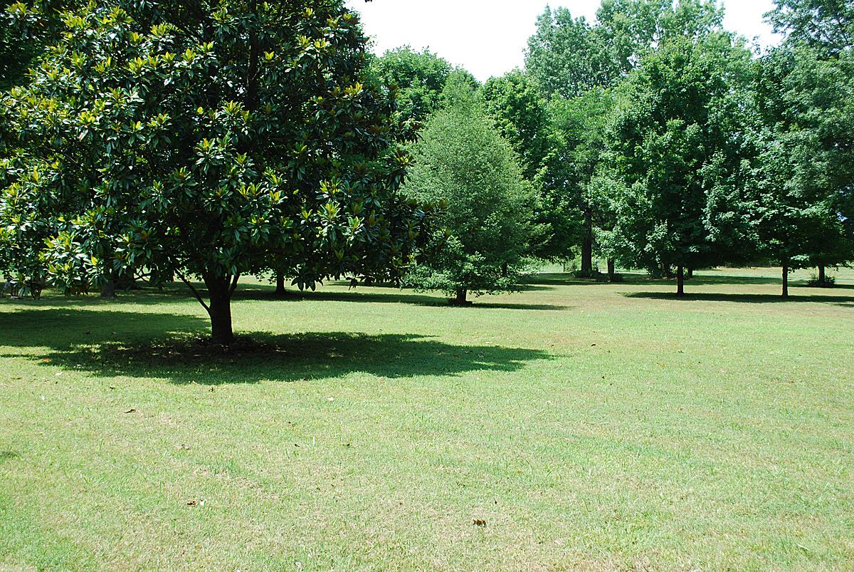 178 Taylor Road Rockvale, TN 37153 - Photo 17 of 25 a view of a golf course