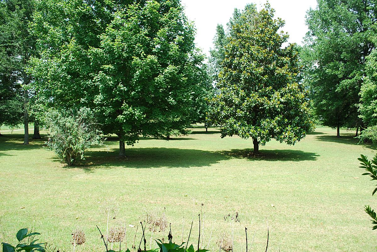 178 Taylor Road Rockvale, TN 37153 - Photo 18 of 25 a view of a garden