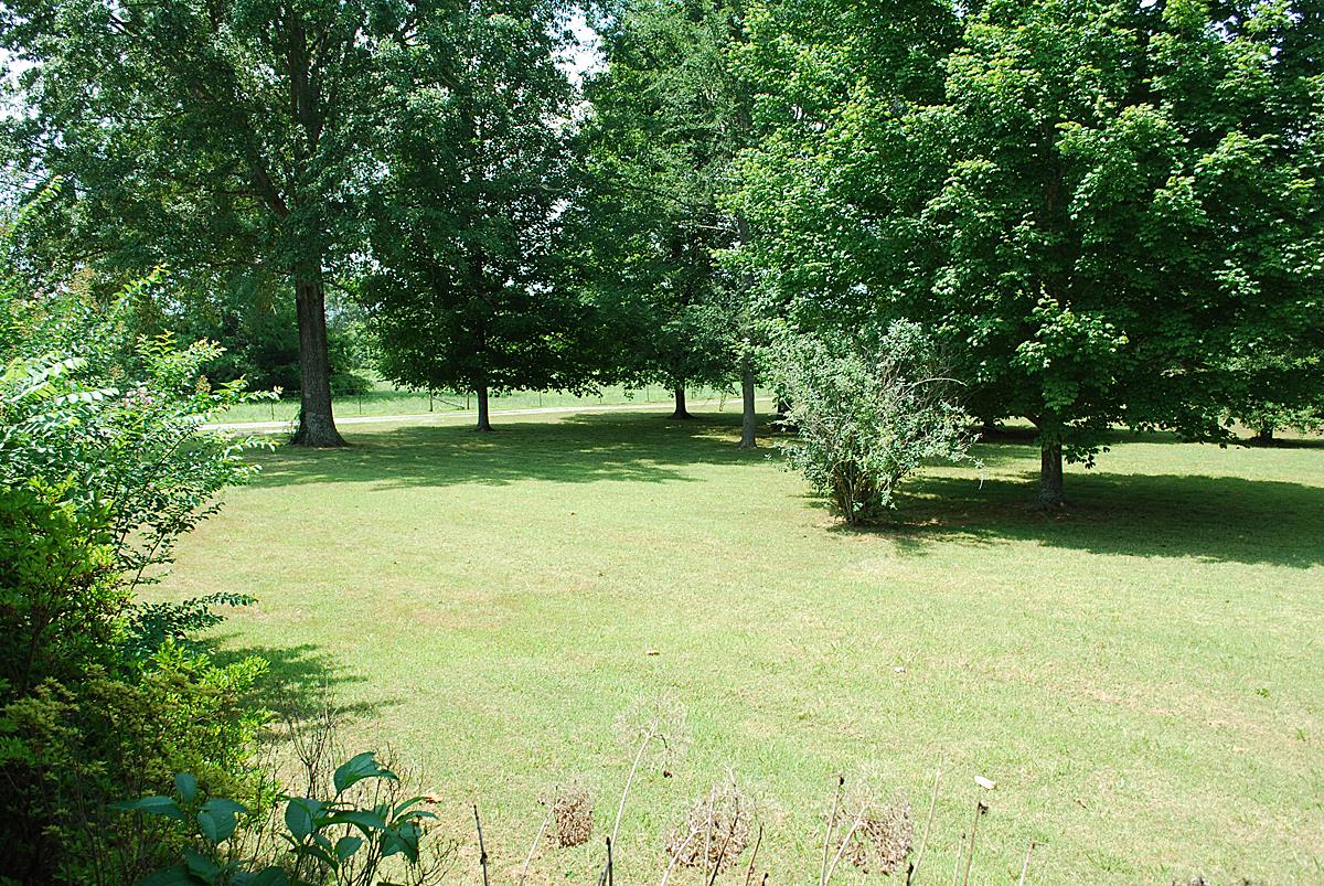 178 Taylor Road Rockvale, TN 37153 - Photo 19 of 25 a view of a golf course with a tree