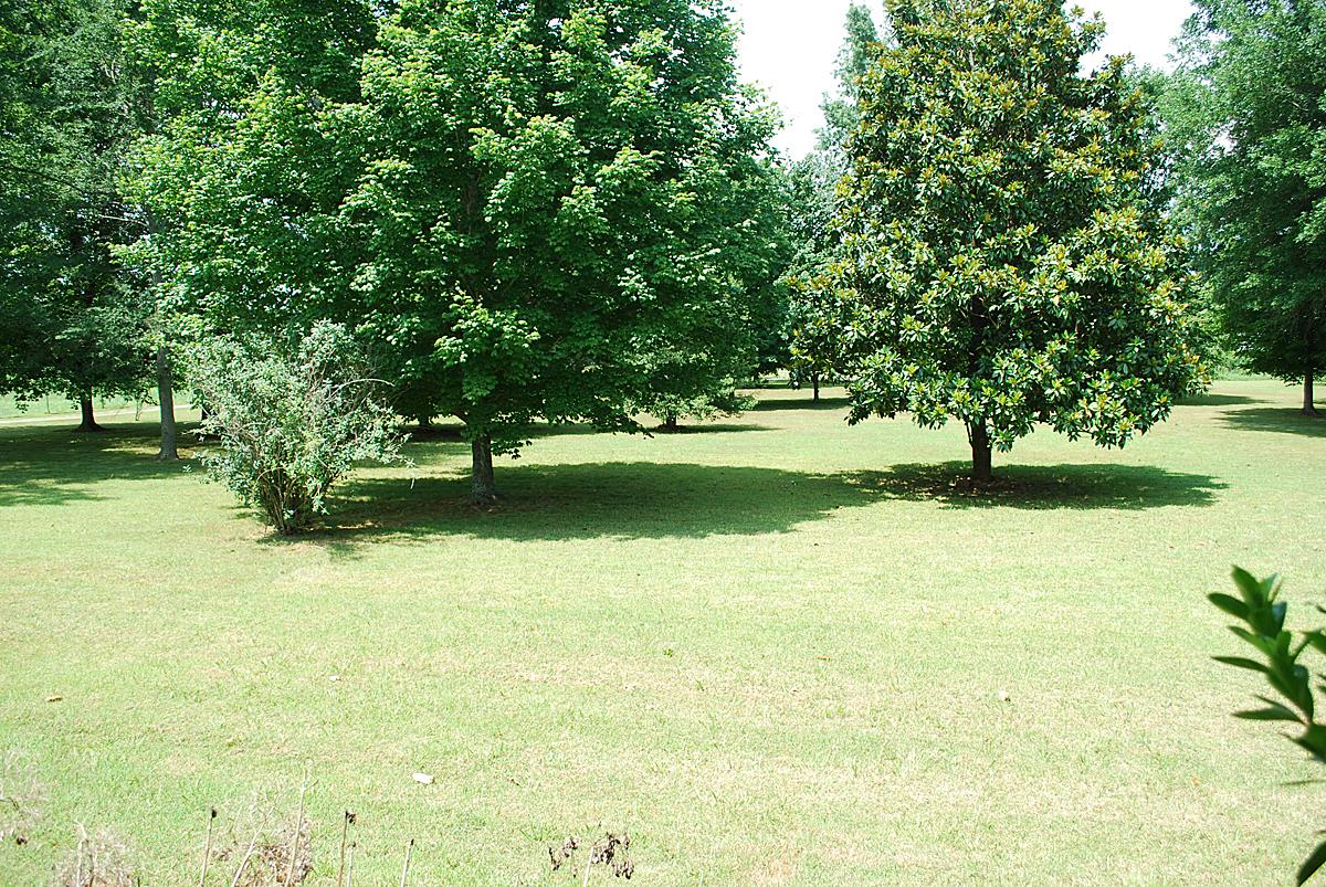 178 Taylor Road Rockvale, TN 37153 - Photo 20 of 25 a view of lake view