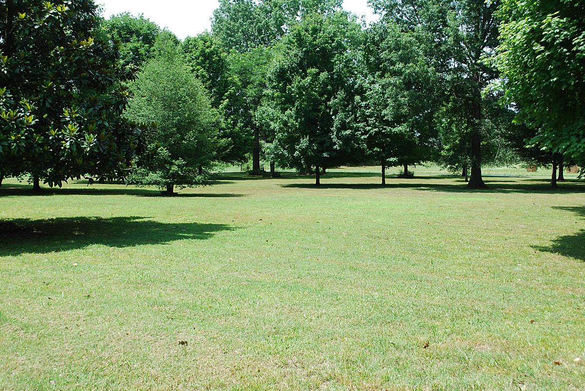 178 Taylor Road Rockvale, TN 37153 - Photo 2 of 25 a view of a golf course with a trees
