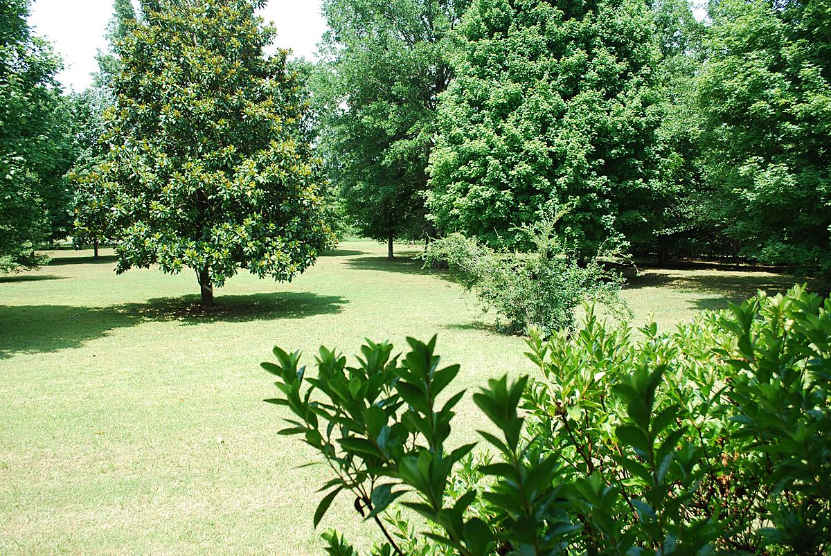 178 Taylor Road Rockvale, TN 37153 - Photo 21 of 25 a view of yard with green space and trees around