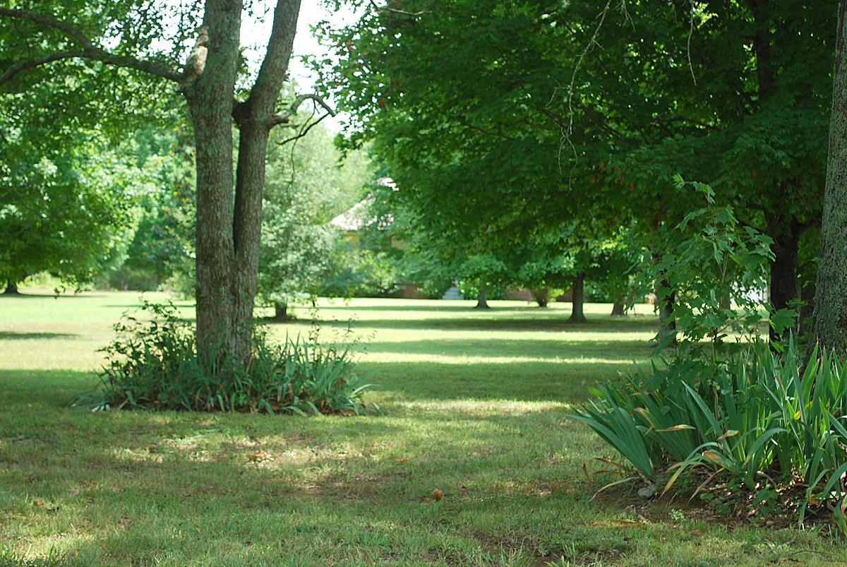 178 Taylor Road Rockvale, TN 37153 - Photo 3 of 25 a view of a golf course