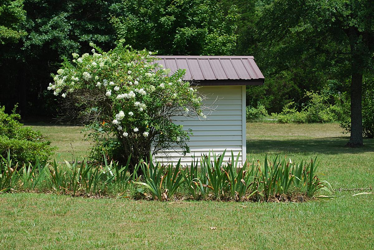 178 Taylor Road Rockvale, TN 37153 - Photo 10 of 25 a view of a back yard