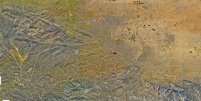 a view of a yard with trees