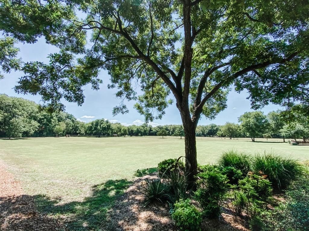 581 Country Club Road Fairview, TX 75069 - Photo 37 of 39