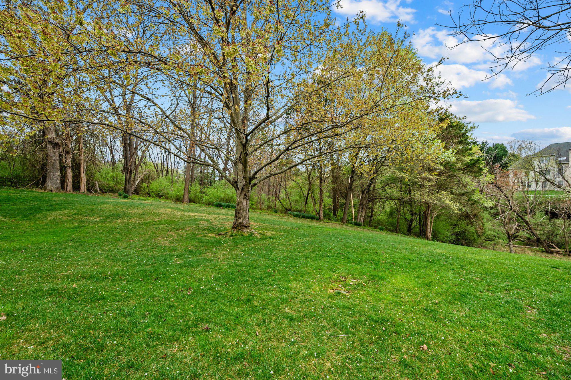 1702 Landon Hill Road Vienna, VA 22182 - Photo 89 of 111