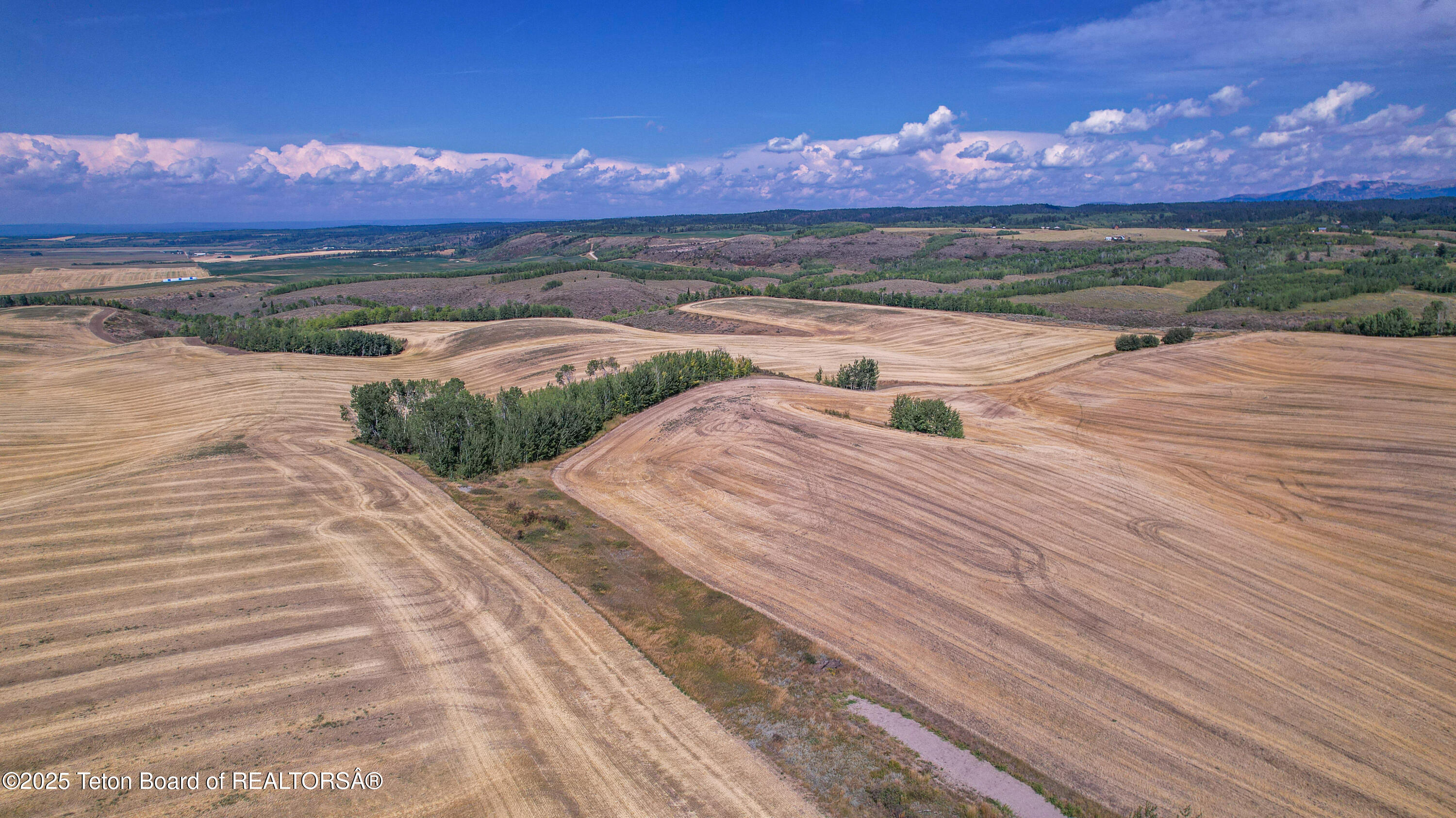 Deckers Pt Road Tetonia, ID 83452 - Photo 14 of 24 DJI_0912