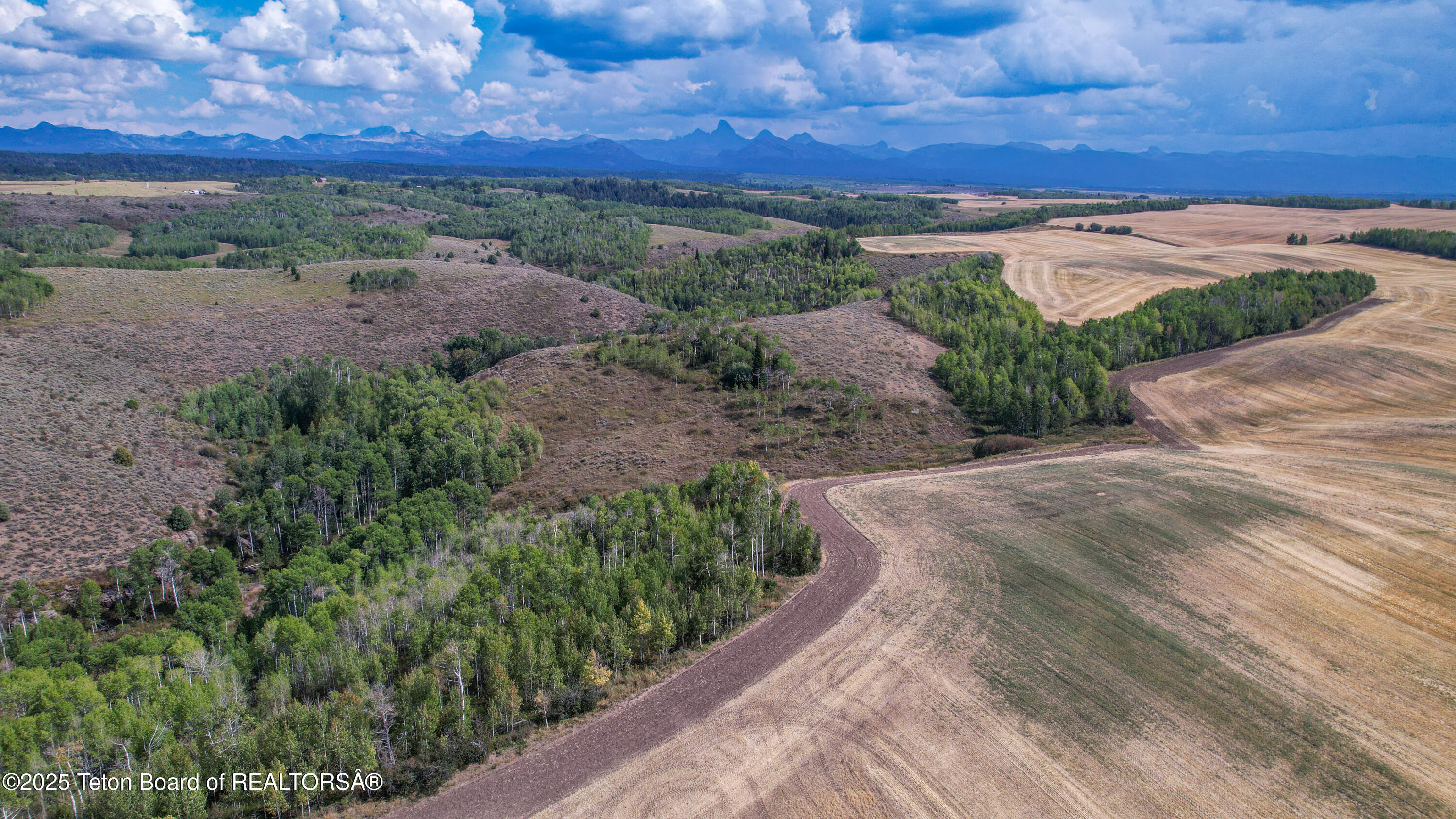 Deckers Pt Road Tetonia, ID 83452 - Photo 19 of 24 DJI_0924