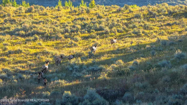 $10,950,000 | Deckers Pt Road, Tetonia, ID 83452