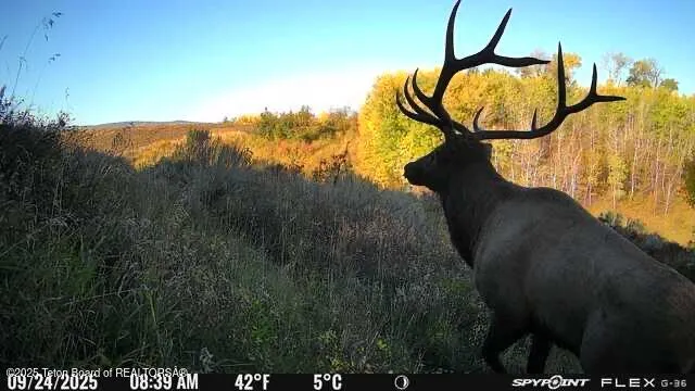 $10,950,000 | Deckers Pt Road, Tetonia, ID 83452