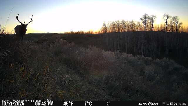 Deckers Pt Road Tetonia, ID 83452 - Photo 5 of 24 IMG_4534