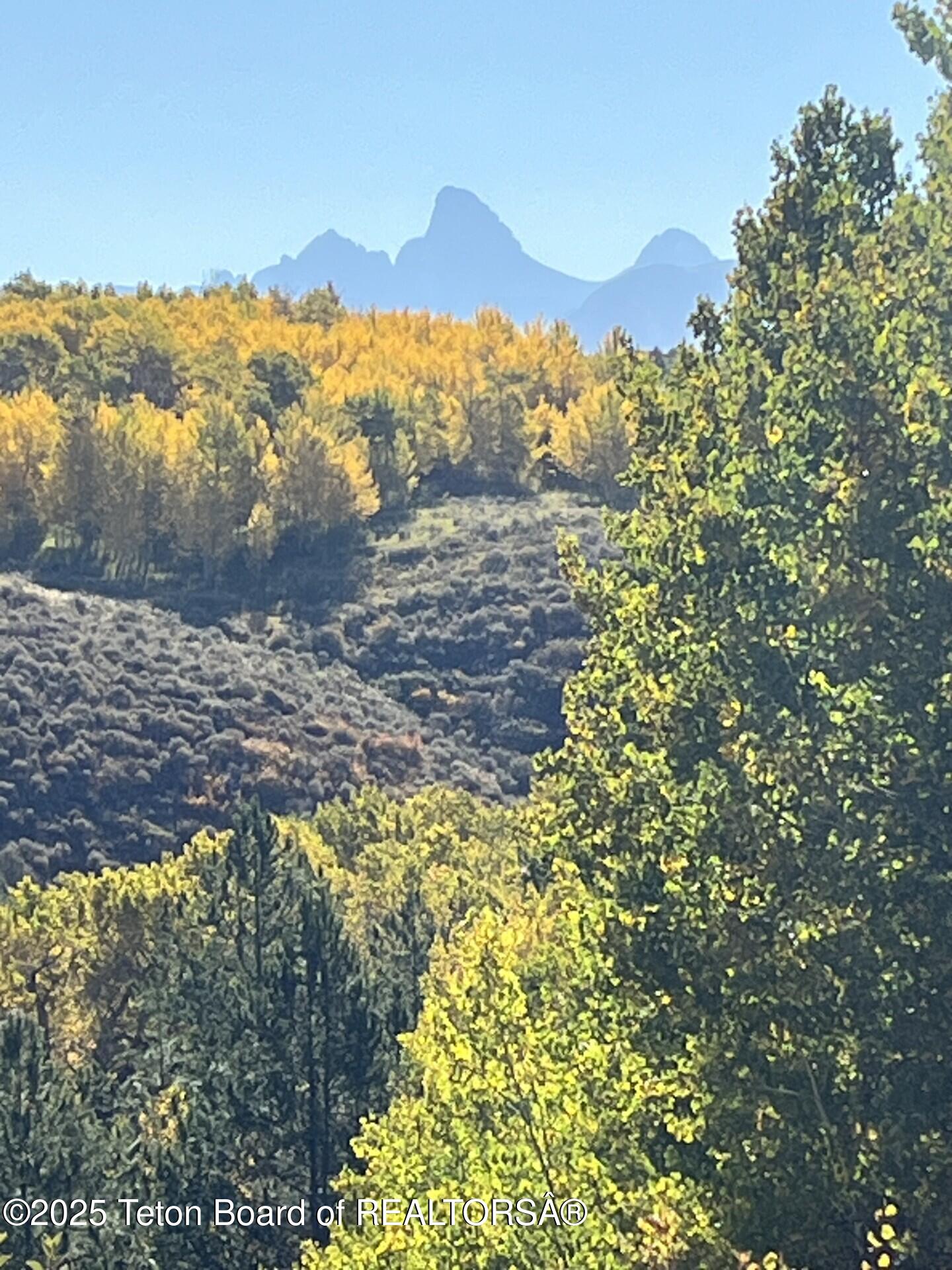 Deckers Pt Road Tetonia, ID 83452 - Photo 9 of 24 Tetons