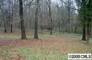 10130 Woody Ridge Road Charlotte, NC 28273 - Photo 7 of 8 Gallery Image 7