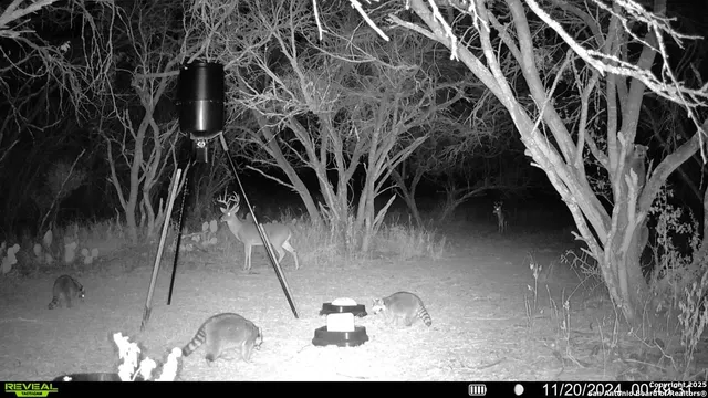 $599,000 | 4416 County Road 117, Floresville, TX 78114