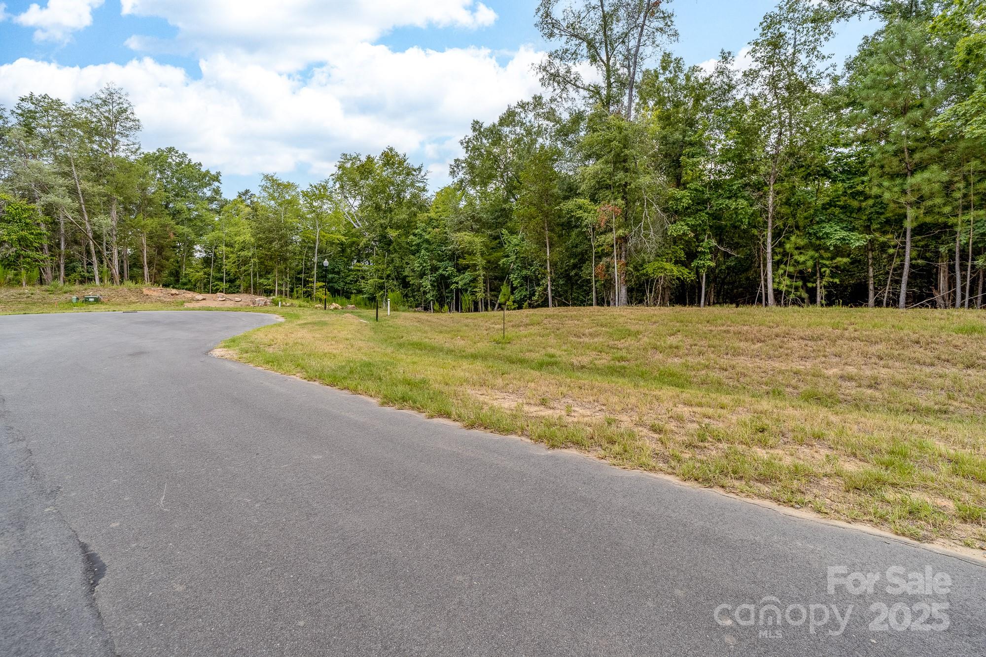 1006 Kingbird Lane Clover, SC 29710 - Photo 2 of 41 a view of a yard with large trees