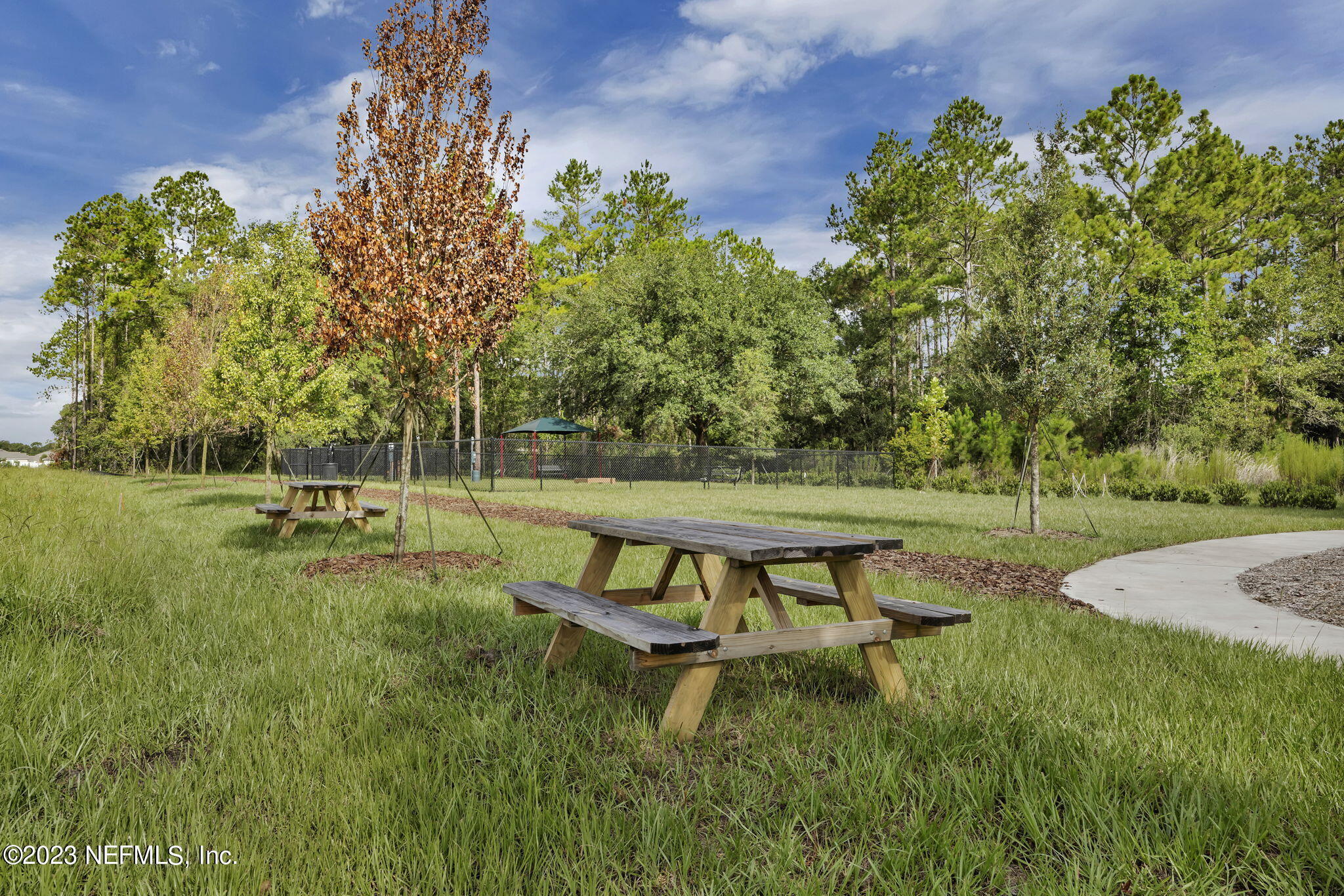 860 Rooster Holw Way Middleburg, FL 32068 - Photo 21 of 26 a view of a park with large trees