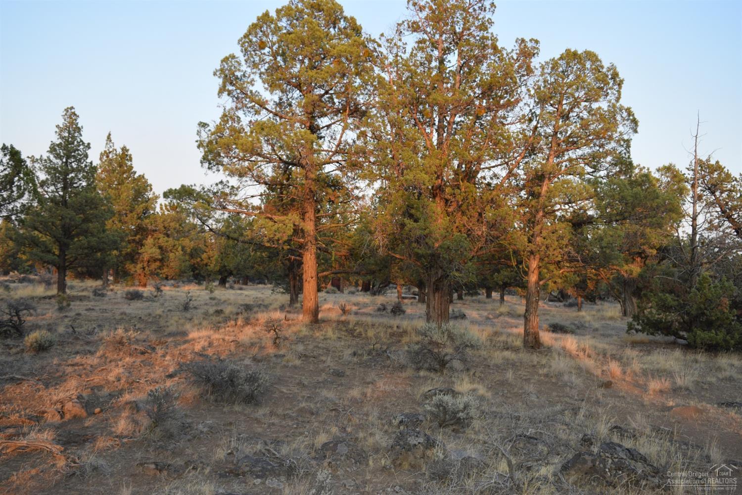 65145 Smokey Ridge Road Bend, OR 97703 - Photo 10 of 13 a view of a forest with trees in the background
