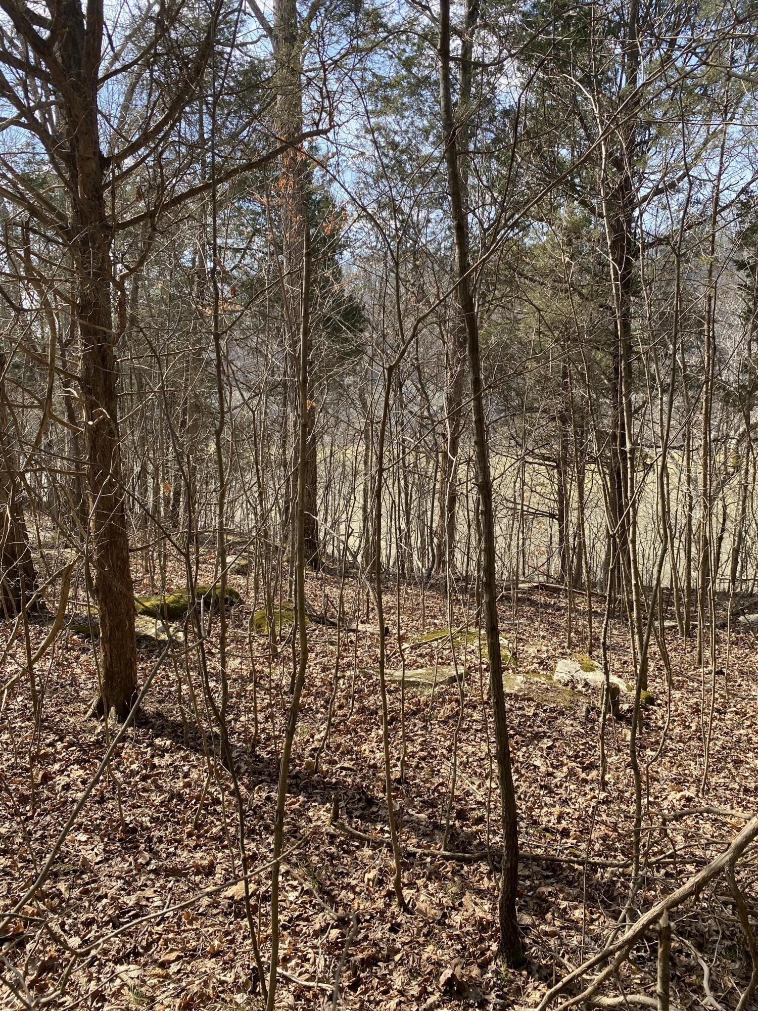 Lot 20 North Fork Road Burnside, KY 42519 - Photo 2 of 8 Northfork 9 (3)