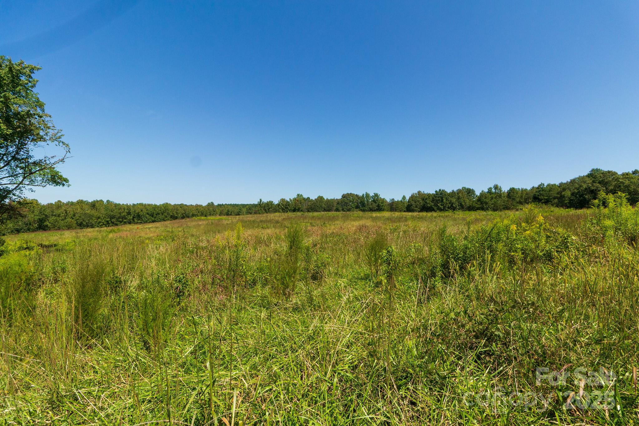 2237 Ellis Road Shelby, NC 28152 - Photo 9 of 12 Gallery Image 9
