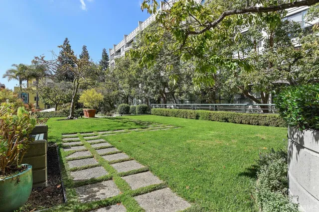 a view of a park with large trees
