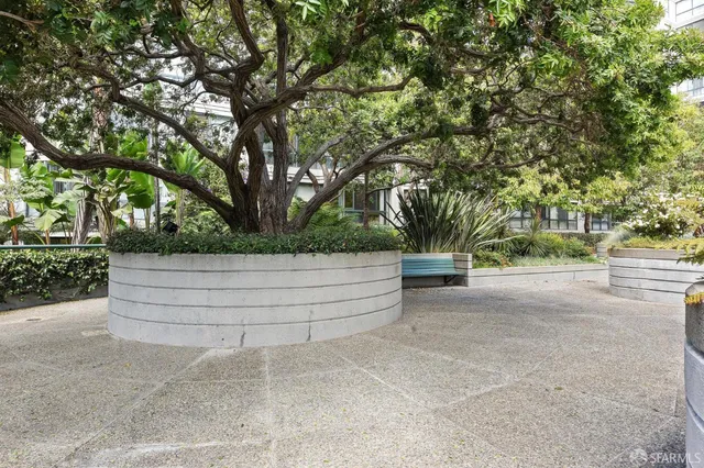 a view of a garden with plants