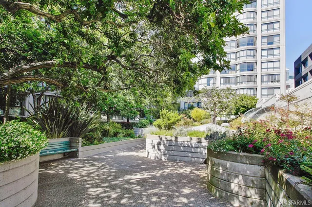 a view of a yard with plants and large trees