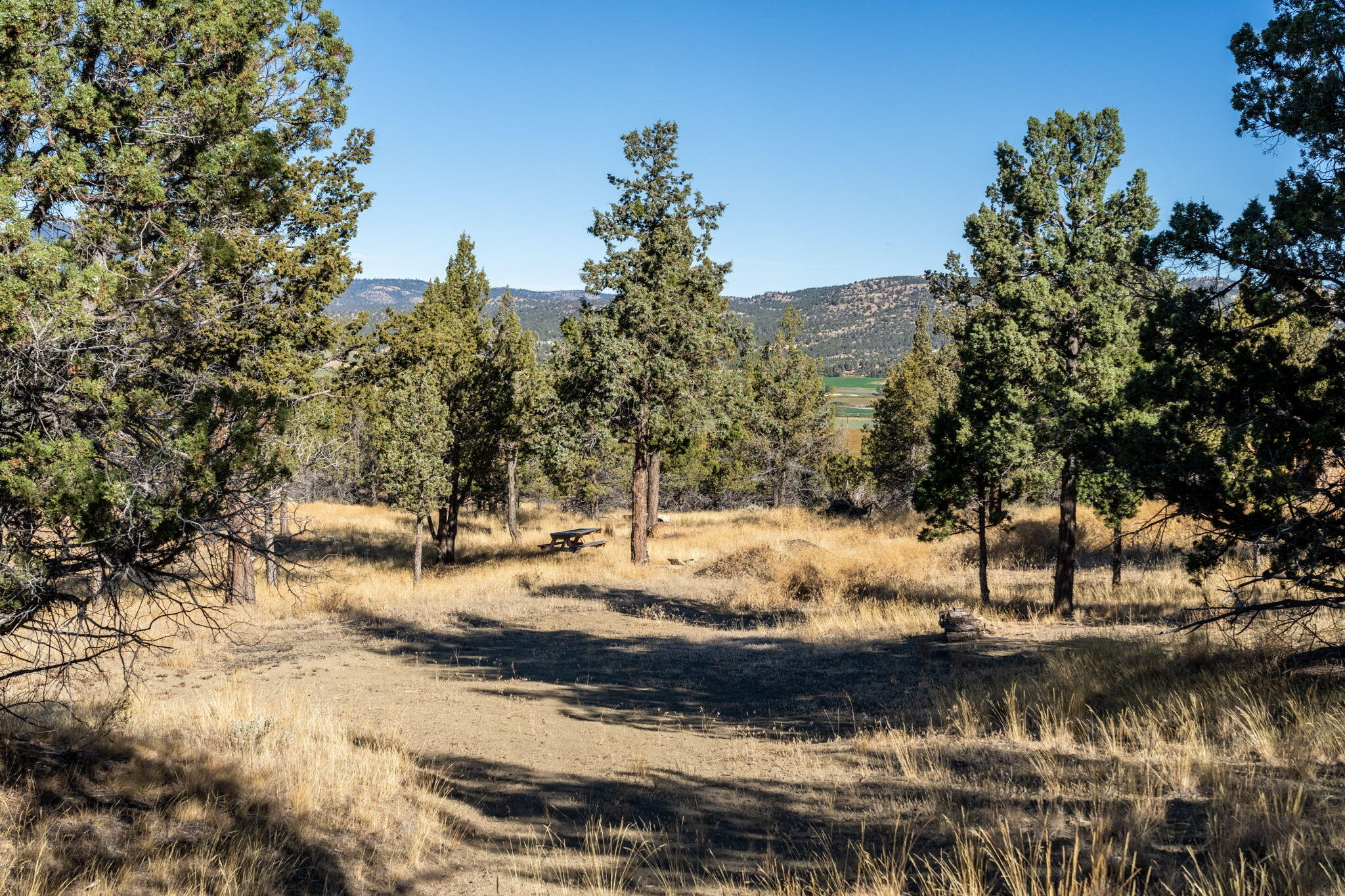 5598 North Mckay Road Prineville, OR 97754 - Photo 64 of 81 IMG_5808